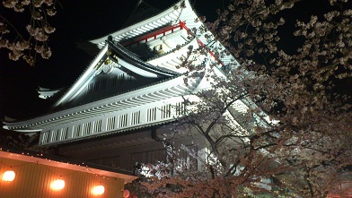 熱海城の夜桜です♪