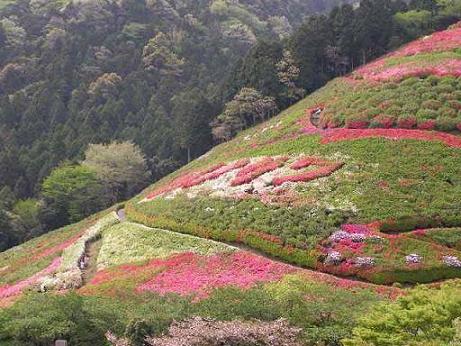 一年中色々な花が見れます♪