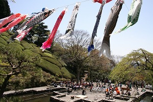 第40回 姫の沢公園花まつり